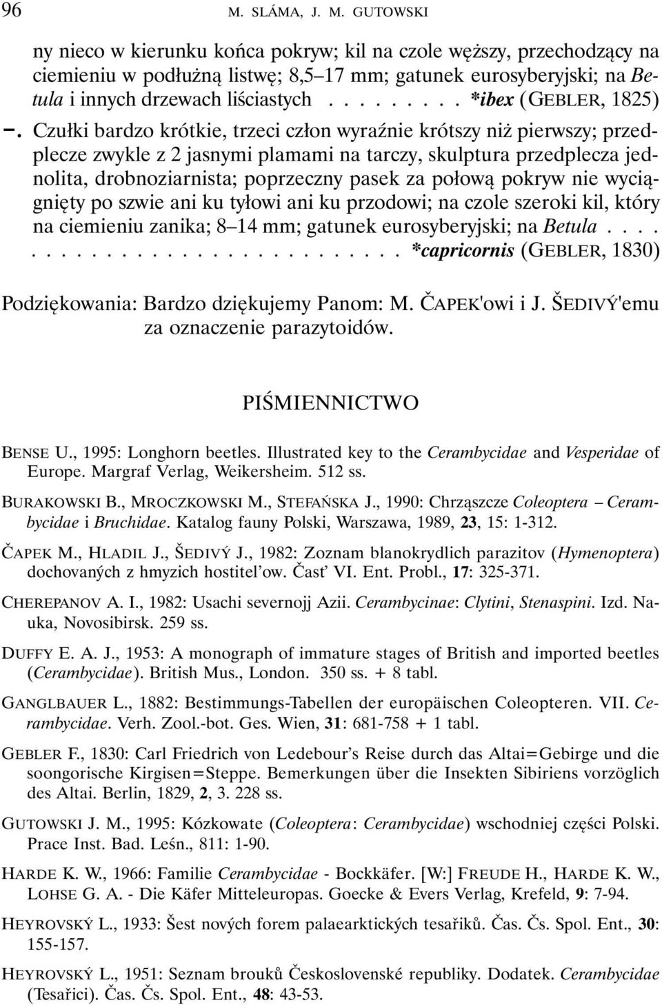 Czułki bardzo krótkie, trzeci człon wyraźnie krótszy niż pierwszy; przedplecze zwykle z 2 jasnymi plamami na tarczy, skulptura przedplecza jednolita, drobnoziarnista; poprzeczny pasek za połową