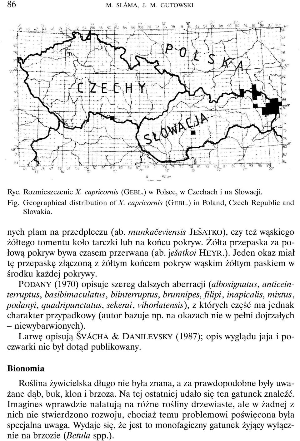 PODANY (1970) opisuje szereg dalszych aberracji (albosignatus, anticeinterruptus, basibimaculatus, biinterruptus, brunnipes, filipi, inapicalis, mixtus, podanyi, quadripunctatus, sekerai,