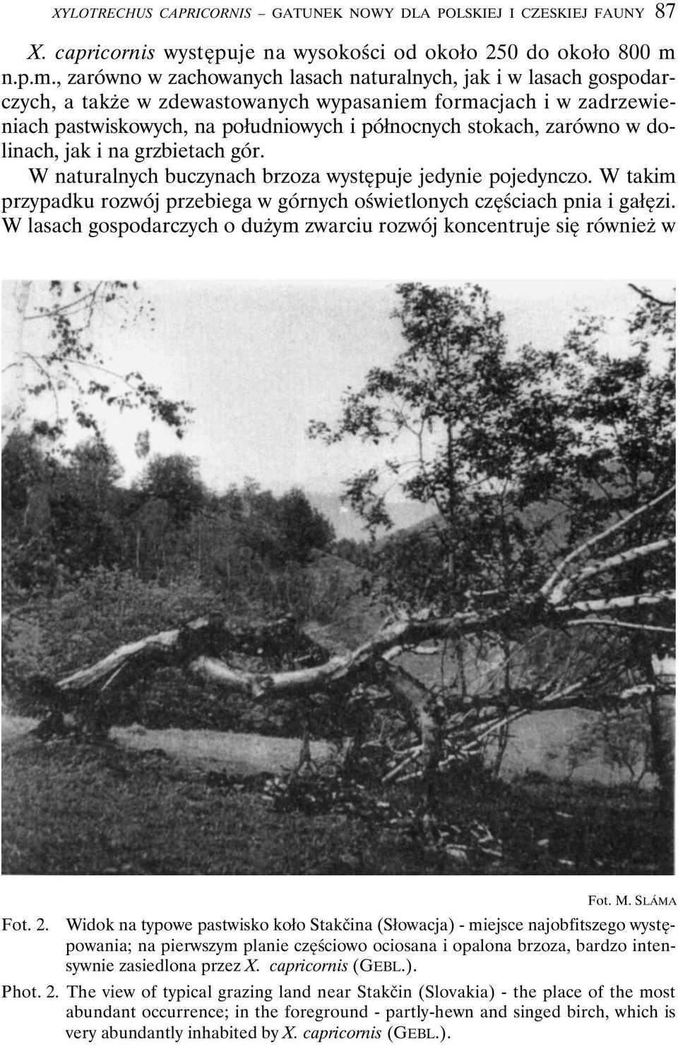 , zarówno w zachowanych lasach naturalnych, jak i w lasach gospodarczych, a także w zdewastowanych wypasaniem formacjach i w zadrzewieniach pastwiskowych, na południowych i północnych stokach,