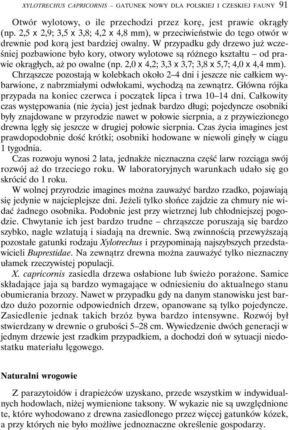 W przypadku gdy drzewo już wcześniej pozbawione było kory, otwory wylotowe są różnego kształtu od prawie okrągłych, aż po owalne (np. 2,0 x 4,2; 3,3 x 3,7; 3,8 x 5,7; 4,0 x 4,4 mm).