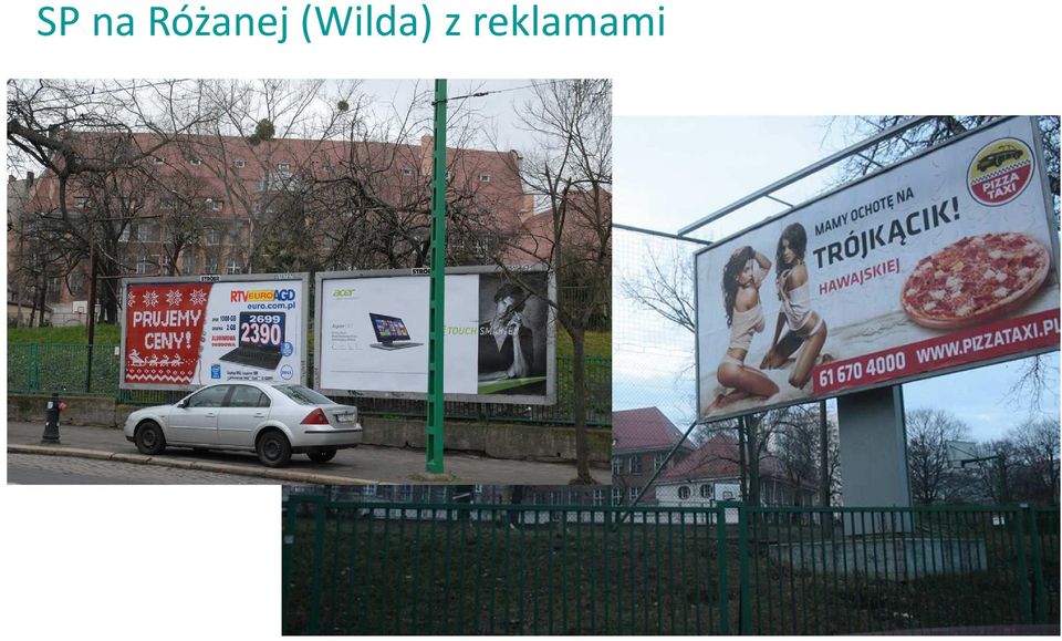 (Wilda) z
