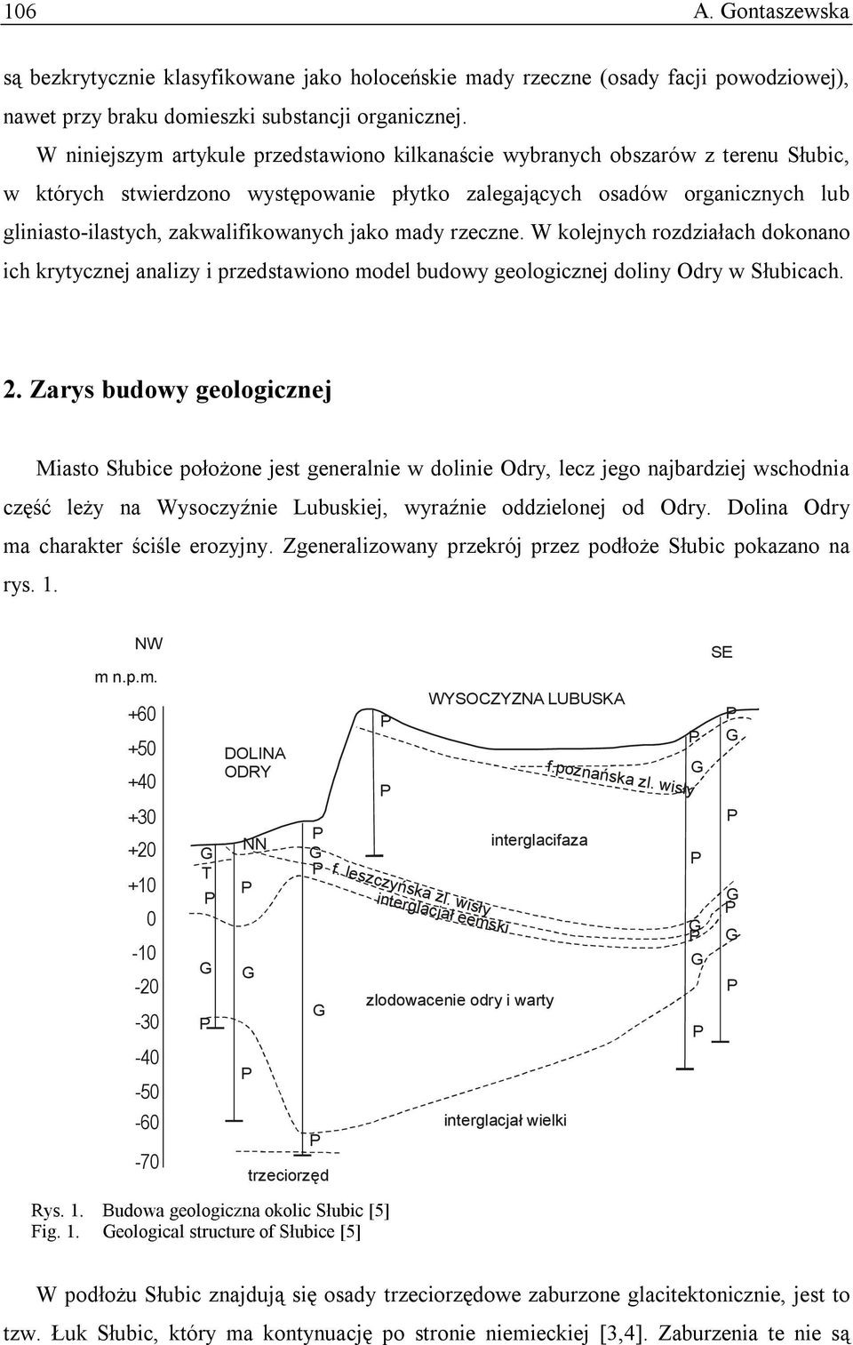 zakwalifikowanych jako mady rzeczne. W kolejnych rozdziałach dokonano ich krytycznej analizy i przedstawiono model budowy geologicznej doliny Odry w Słubicach. 2.