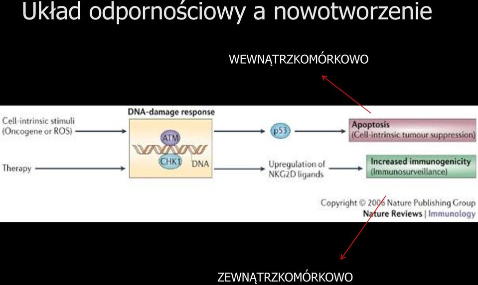 nowotworzenie