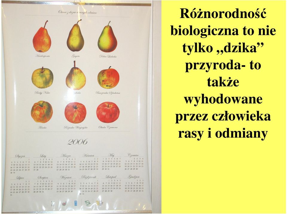 przyroda- to także