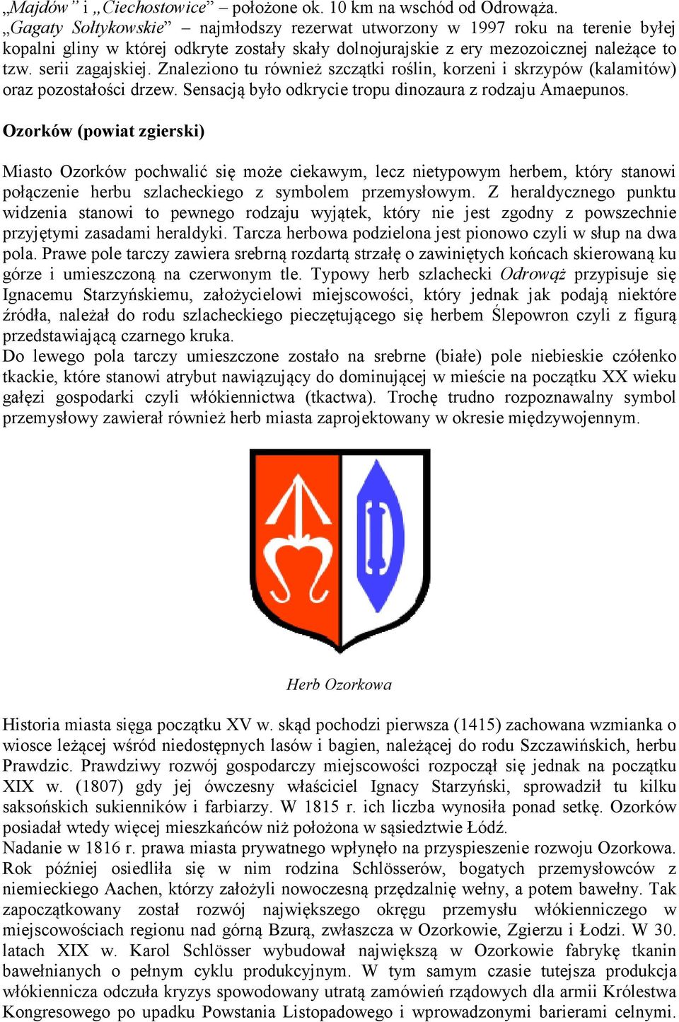 Znaleziono tu również szczątki roślin, korzeni i skrzypów (kalamitów) oraz pozostałości drzew. Sensacją było odkrycie tropu dinozaura z rodzaju Amaepunos.