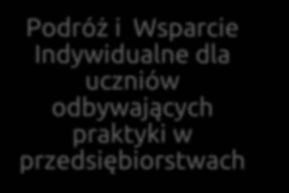 Przesunięcia pomiędzy kategoriami budżetu 100 % Podróż i Wsparcie indywidualne dla kadry Podróż i Wsparcie indywidualne dla uczniów 100 % Podróż i