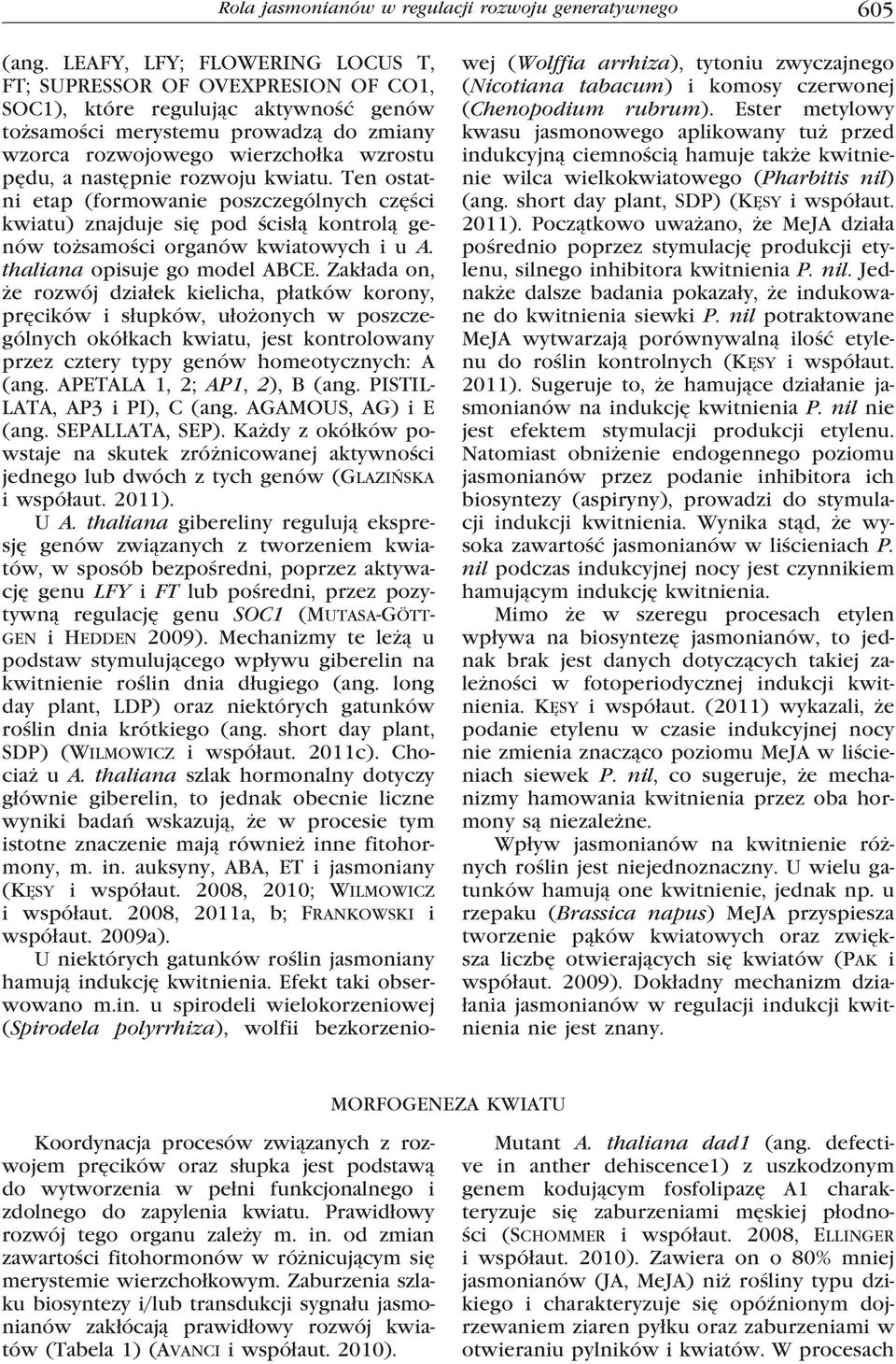 następnie rozwoju kwiatu. Ten ostatni etap (formowanie poszczególnych części kwiatu) znajduje się pod ścisłą kontrolą genów tożsamości organów kwiatowych i u A. thaliana opisuje go model ABCE.