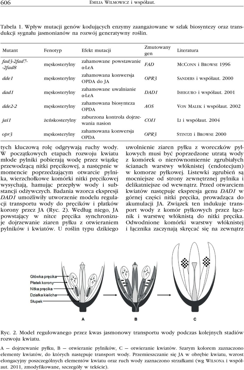 konwersja OPDA do JA zahamowane uwalnianie α-lea zahamowana biosynteza OPDA zaburzona kontrola dojrzewania nasion zahamowana konwersja OPDA tych kluczową rolę odgrywają ruchy wody.