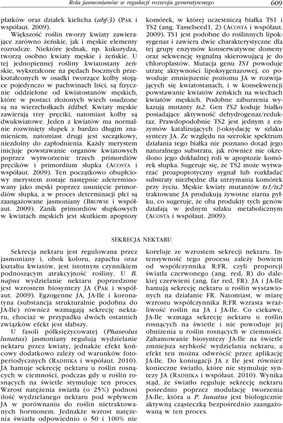 U tej jednopiennej rośliny kwiatostany żeńskie, wykształcone na pędach bocznych przekształconych w osadki tworzące kolby stojące pojedynczo w pachwinach liści, są fizycznie oddzielone od kwiatostanów