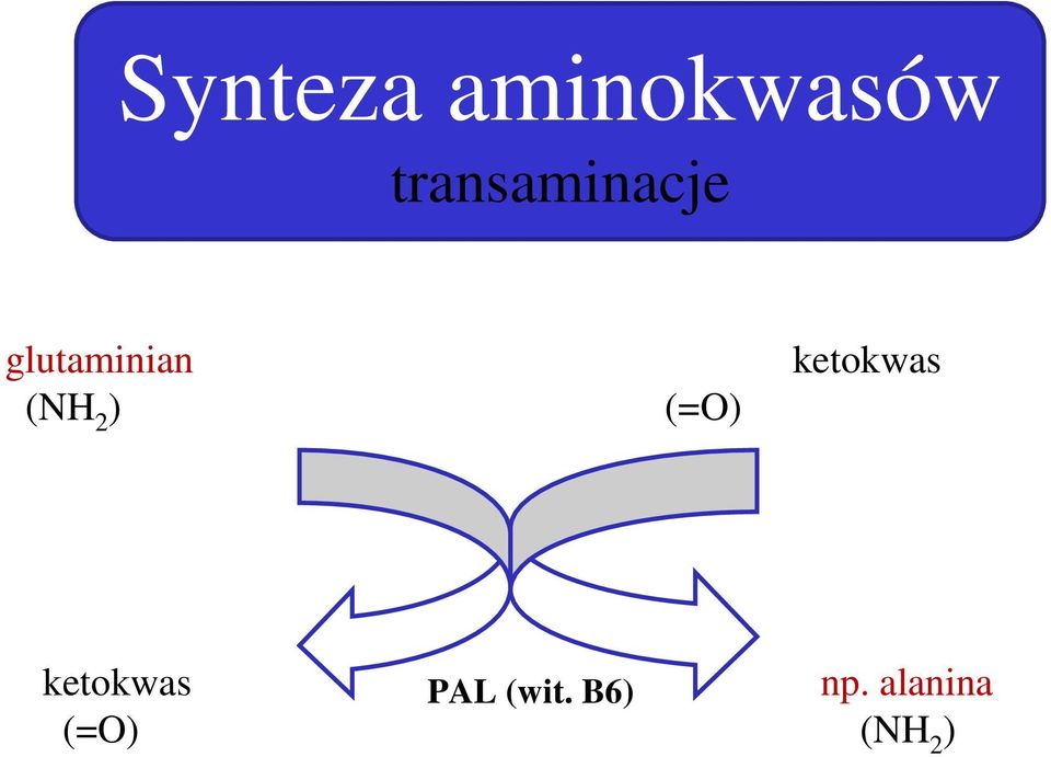 (NH 2 ) (=O) ketokwas