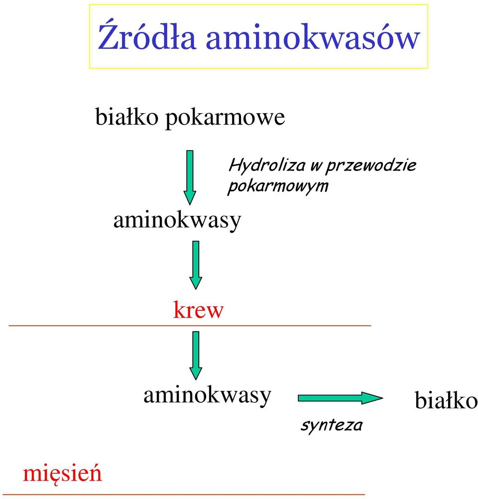 Hydroliza w przewodzie