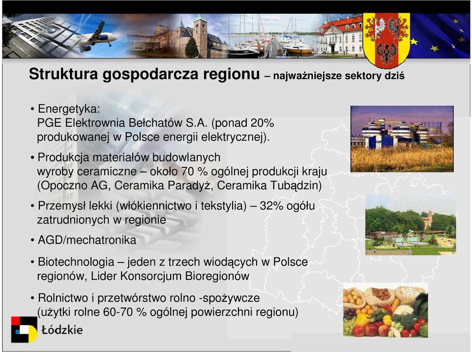 Produkcja materiałów budowlanych wyroby ceramiczne około 70 % ogólnej produkcji kraju (Opoczno AG, Ceramika Paradyż, Ceramika Tubądzin)