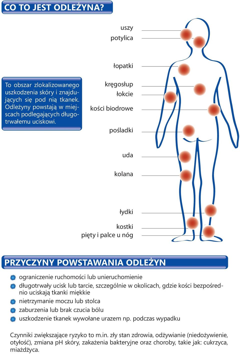 kręgosłup łokcie kości biodrowe pośladki uda kolana łydki kostki pięty i palce u nóg PRZYCZYNY POWSTAWANIA ODLEŻYN ograniczenie ruchomości lub unieruchomienie długotrwały ucisk lub