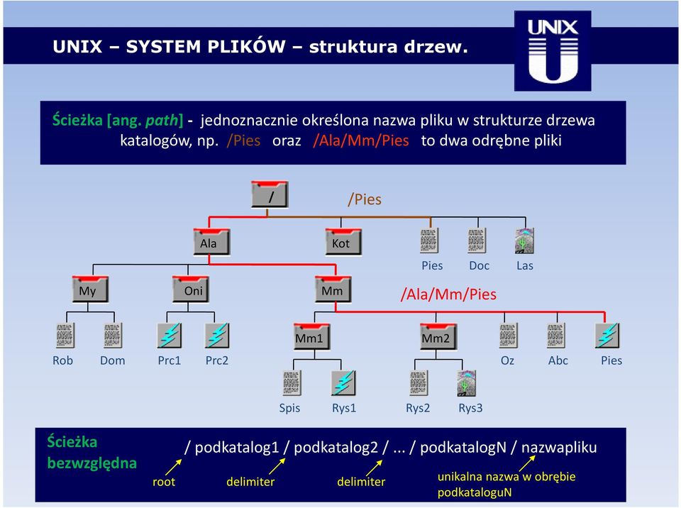 /Pies oraz /Ala/Mm/Pies to dwa odrębne pliki / /Pies Ala Kot Pies Doc Las My Oni Mm /Ala/Mm/Pies Mm1 Mm2