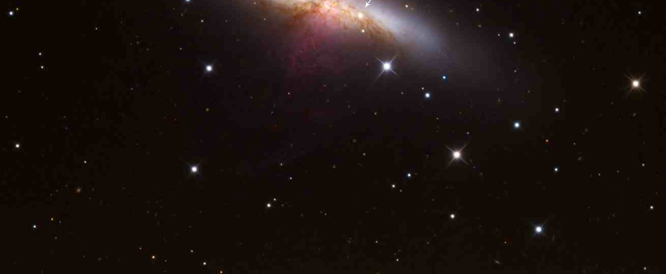 BIULETYN OBSERWATORÓW GWIAZD ZMIENNYCH PROXIMA 1/2014 (15) STYCZEŃ 2014 r. ASTRONOMICA.