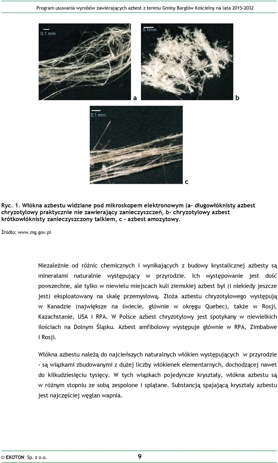 c - azbest amozytowy. Źródło: www.mg.gov.pl Niezależnie od różnic chemicznych i wynikających z budowy krystalicznej azbesty są minerałami naturalnie występujący w przyrodzie.