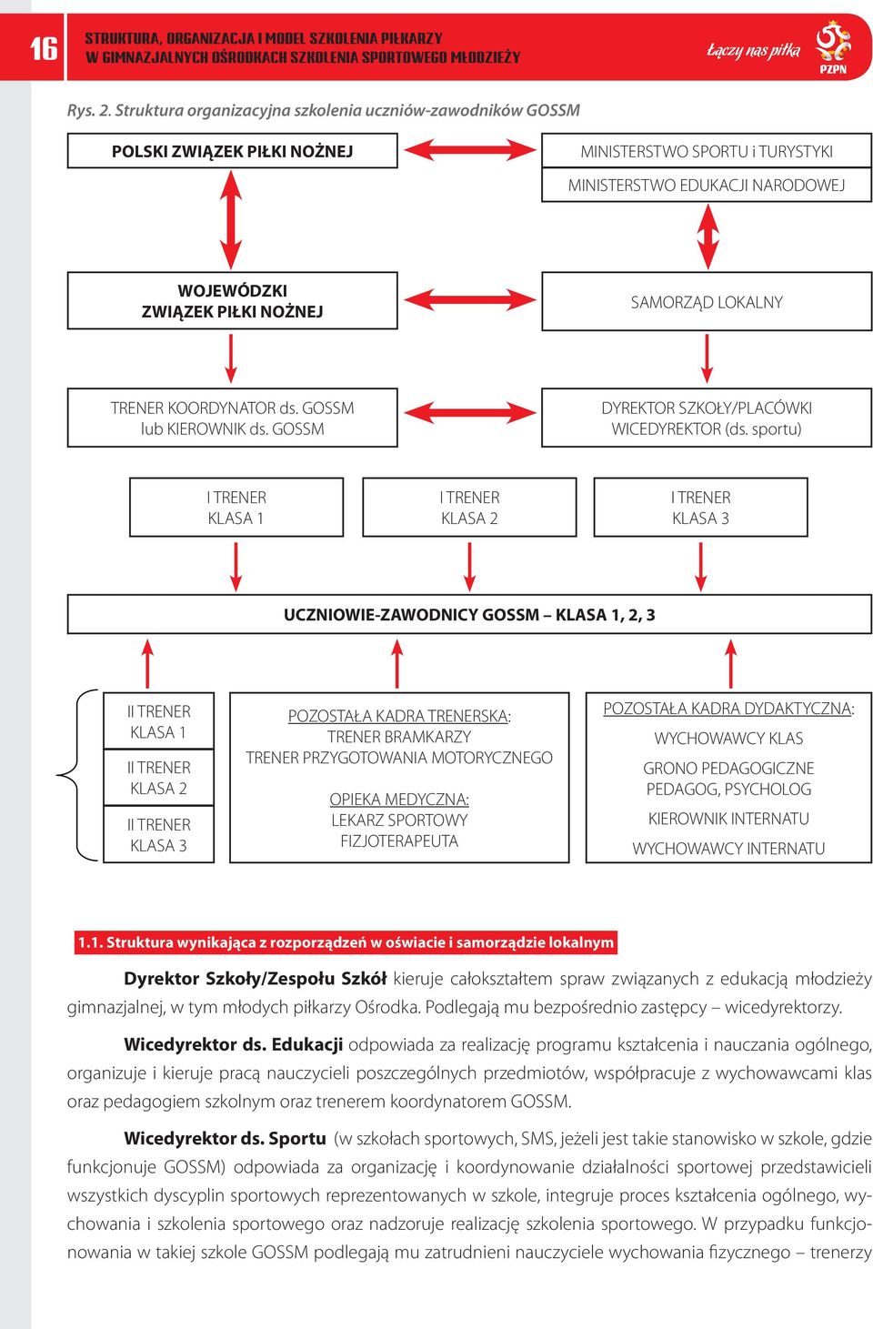 TRENER KOORDYNATOR ds. GOSSM lub KIEROWNIK ds. GOSSM DYREKTOR SZKOŁY/PLACÓWKI WICEDYREKTOR (ds.