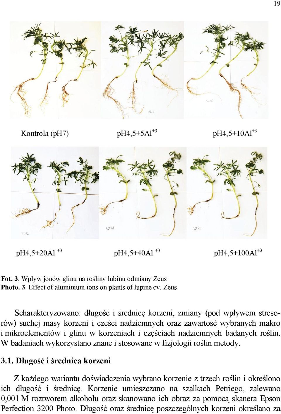 częściach nadziemnych badanych roślin. W badaniach wykorzystano znane i stosowane w fizjologii roślin metody. 3.
