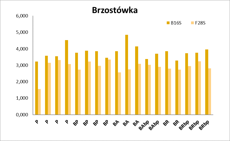 Wykres 3. Wyniki analizy qpcrdla bakterii (B16S) i grzybów(f28s) w próbach pobranych gleb P kontrola parowanie BA B.bassiana parowanie BR B.brongniartii parowanie BP kontrola bez parowania BAbp - B.