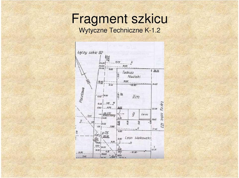 Wytyczne