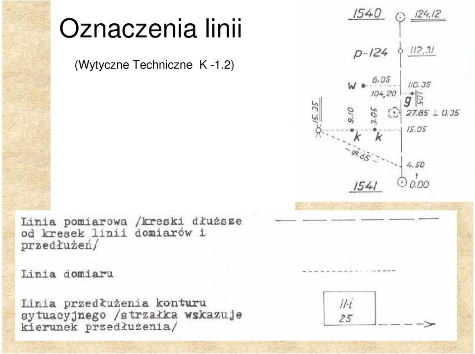 (Wytyczne