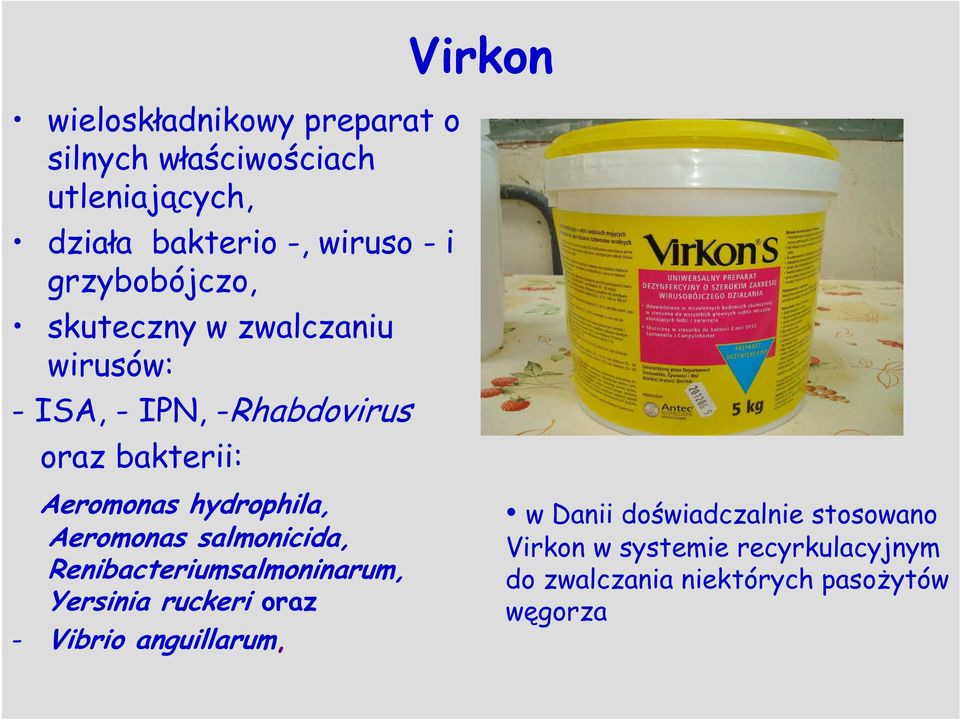 Aeromonas hydrophila, Aeromonas salmonicida, Renibacteriumsalmoninarum, Yersinia ruckeri oraz - Vibrio