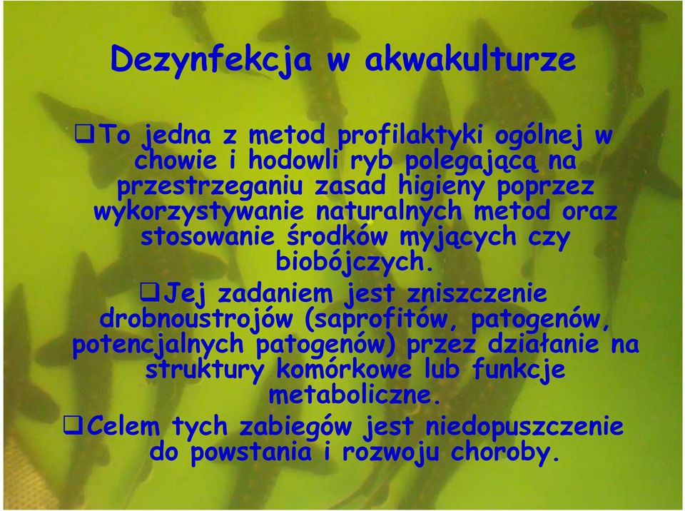 biobójczych.