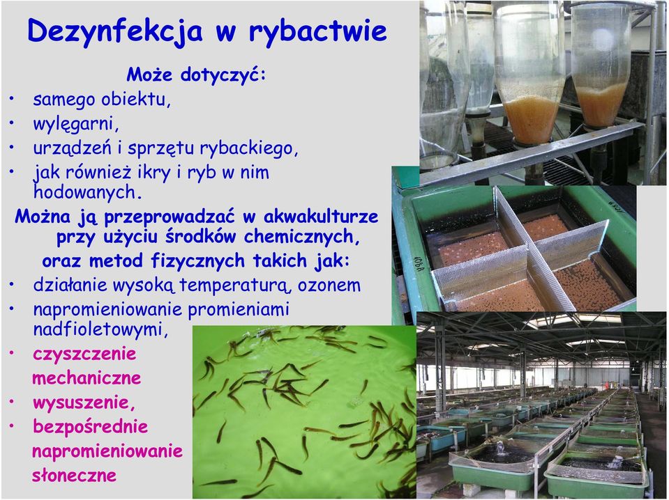 Można ją przeprowadzać w akwakulturze przy użyciu środków chemicznych, oraz metod fizycznych takich