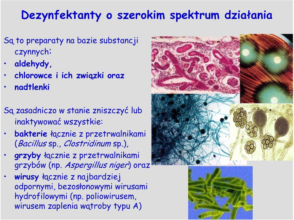 przetrwalnikami (Bacillus sp., Clostridinum sp.), grzyby łącznie z przetrwalnikami grzybów (np.