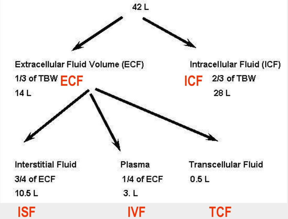 TCF