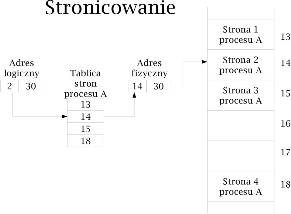 15 18 Adres fizyczny 14 30 Strona