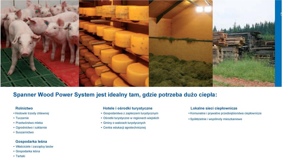regionach wiejskich Gminy o walorach turystycznych Centra edukacji agrotechnicznej Lokalne sieci ciepłownicze Komunalne i prywatne