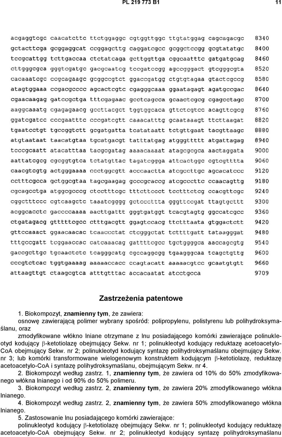 komórki zawierające polinukleotyd kodujący -ketotiolazę obejmujący Sekw. nr 1; polinukleotyd kodujący reduktazę acetoacetylo- CoA obejmujący Sekw.