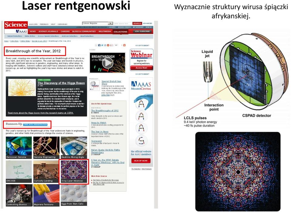Wyznacznie