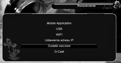 dekodera do bezprzewodowej sieci internetowej dostępne są opcje