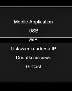 dostępne sieci. Przyciskami góra/dół należy wybrać odpowiednią sieć i wcisnąć OK.