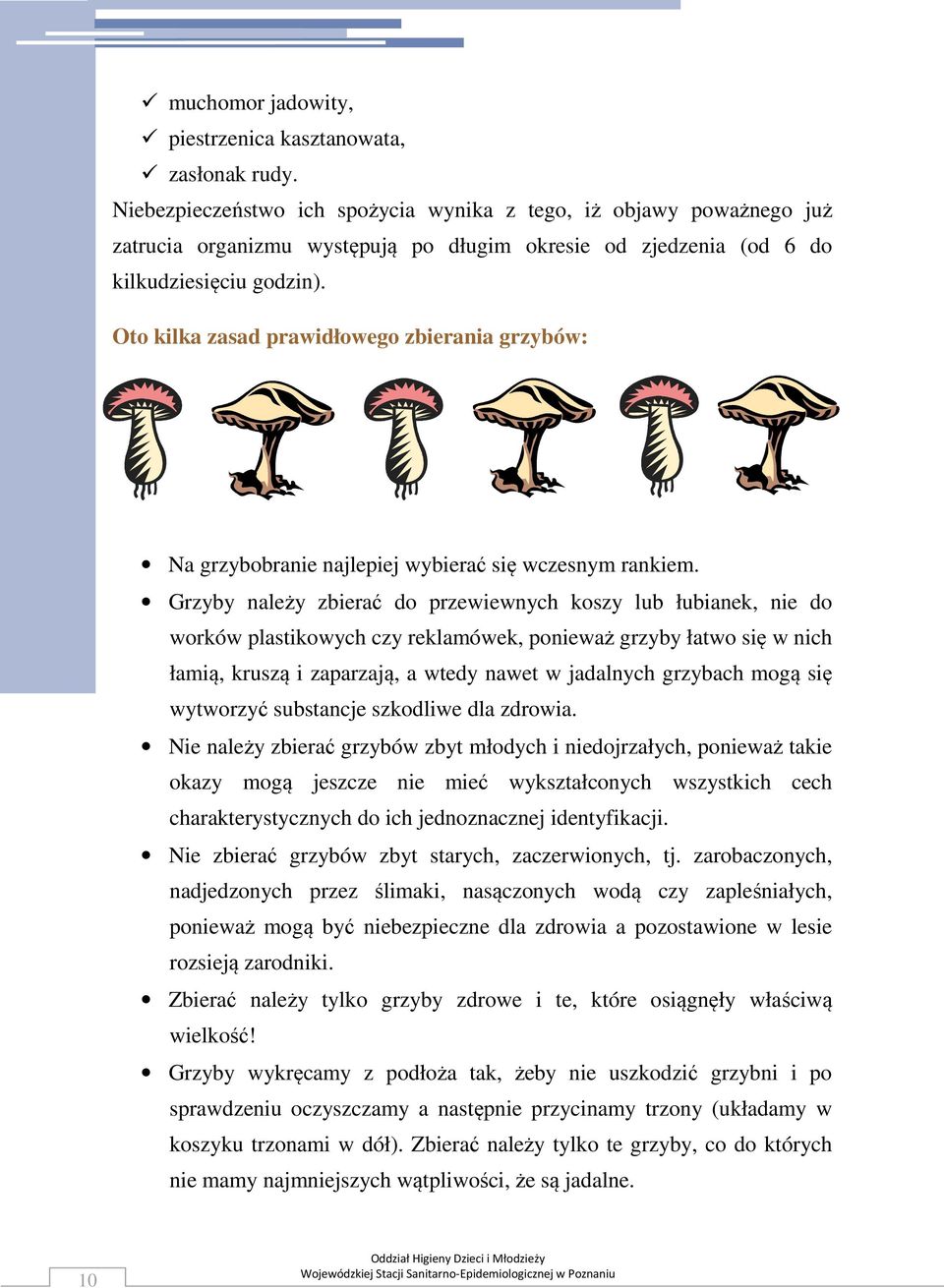Oto kilka zasad prawidłowego zbierania grzybów: Na grzybobranie najlepiej wybierać się wczesnym rankiem.