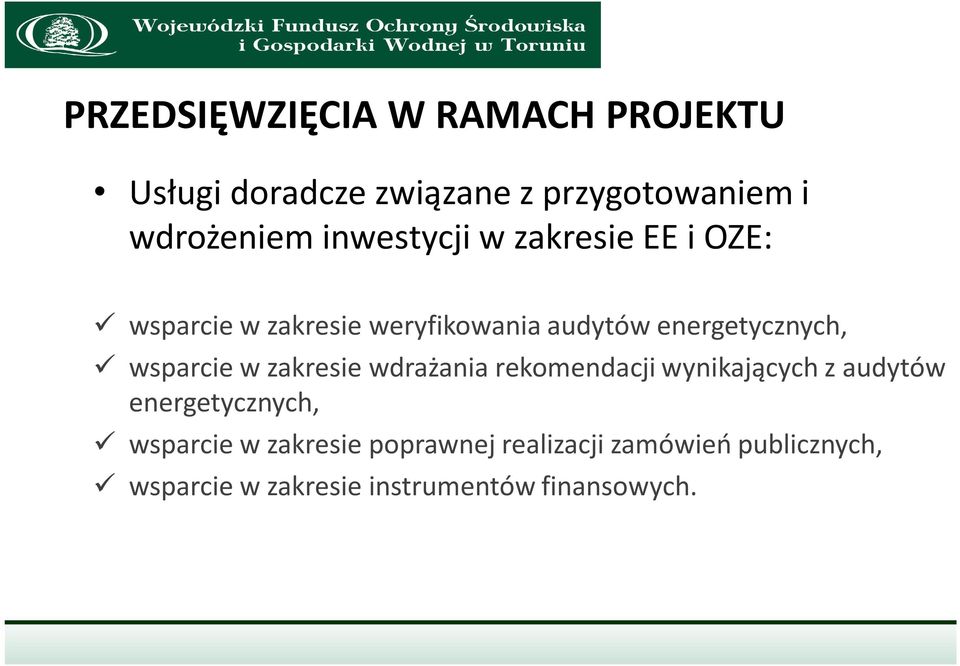 wsparcie w zakresie wdrażania rekomendacji wynikających z audytów energetycznych, wsparcie w