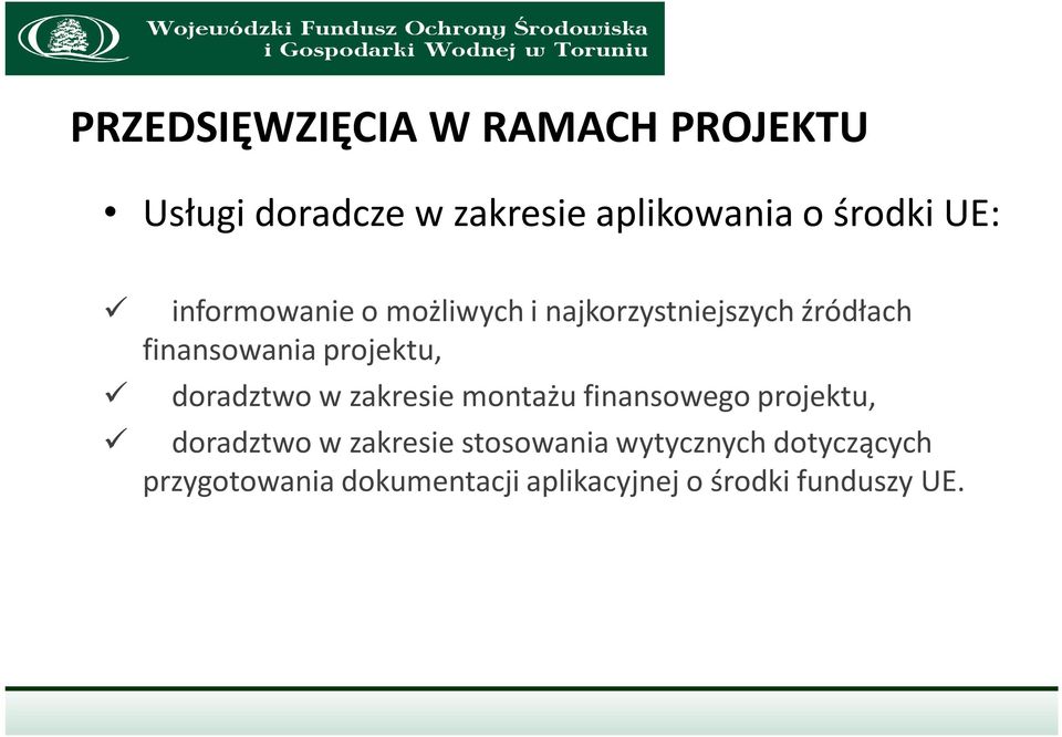 doradztwo w zakresie montażu finansowego projektu, doradztwo w zakresie stosowania