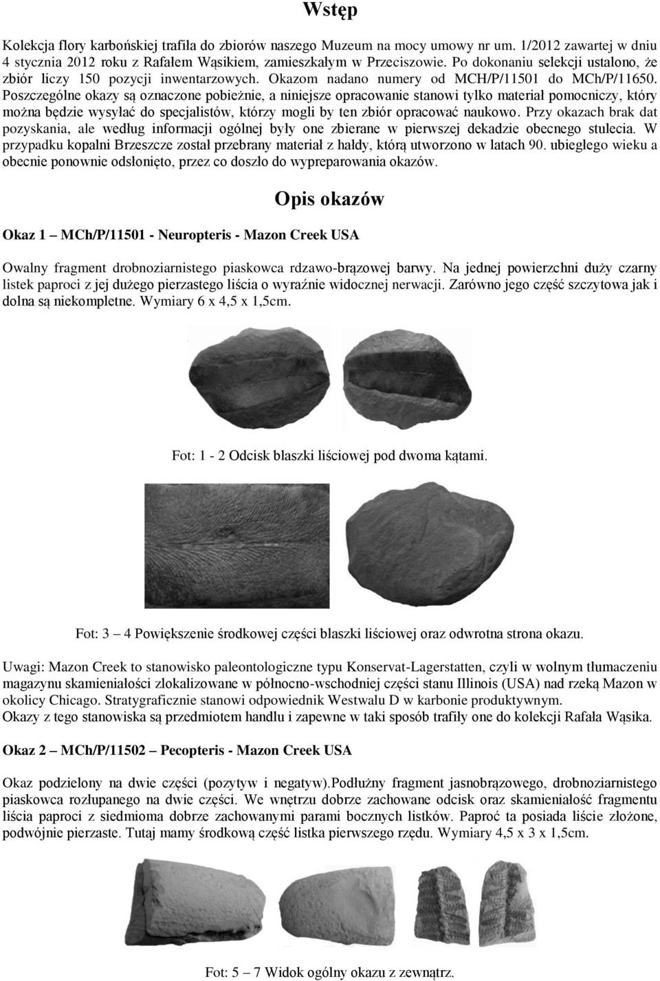 Poszczególne okazy są oznaczone pobieżnie, a niniejsze opracowanie stanowi tylko materiał pomocniczy, który można będzie wysyłać do specjalistów, którzy mogli by ten zbiór opracować naukowo.