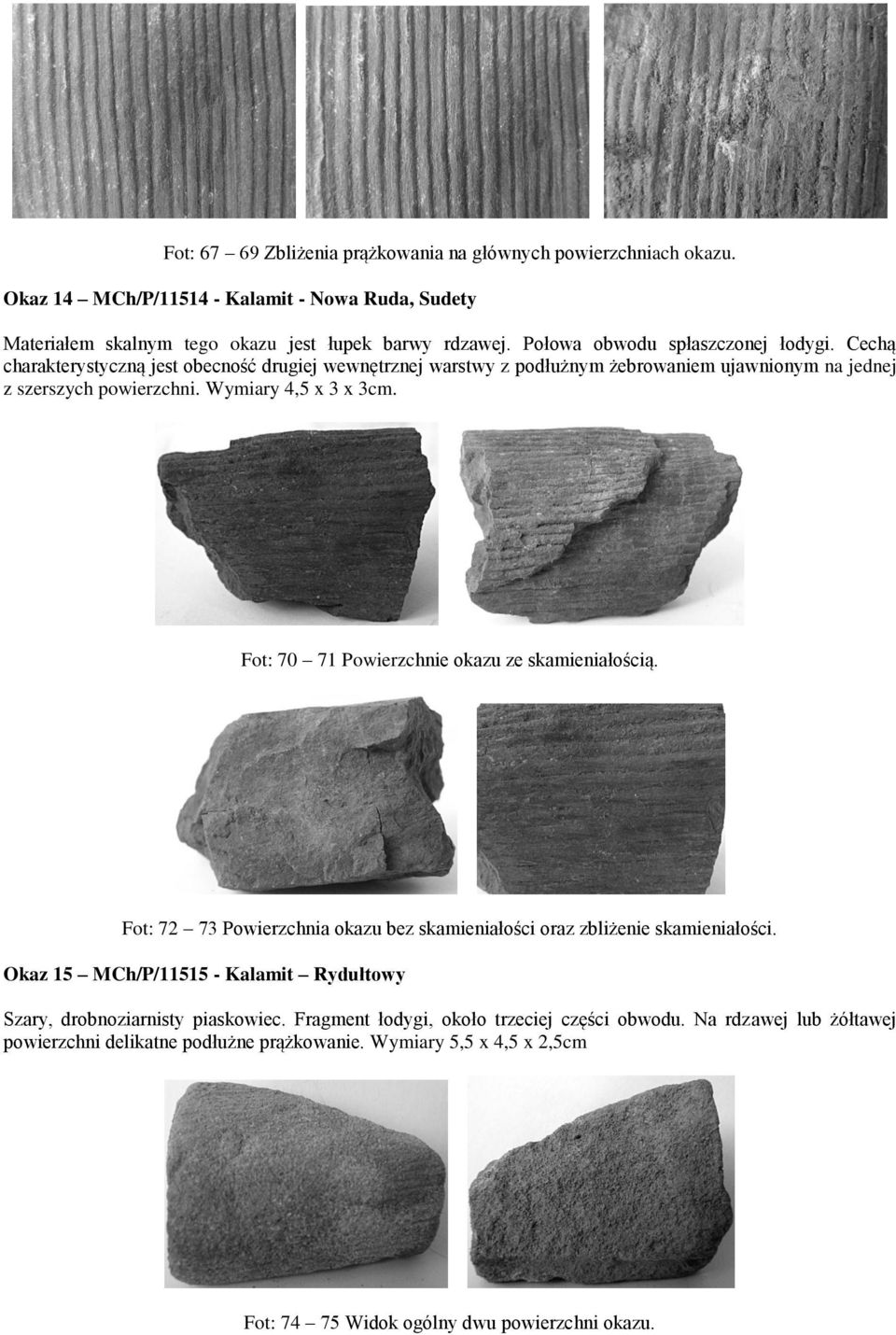 Wymiary 4,5 x 3 x 3cm. Fot: 70 71 Powierzchnie okazu ze skamieniałością. Fot: 72 73 Powierzchnia okazu bez skamieniałości oraz zbliżenie skamieniałości.