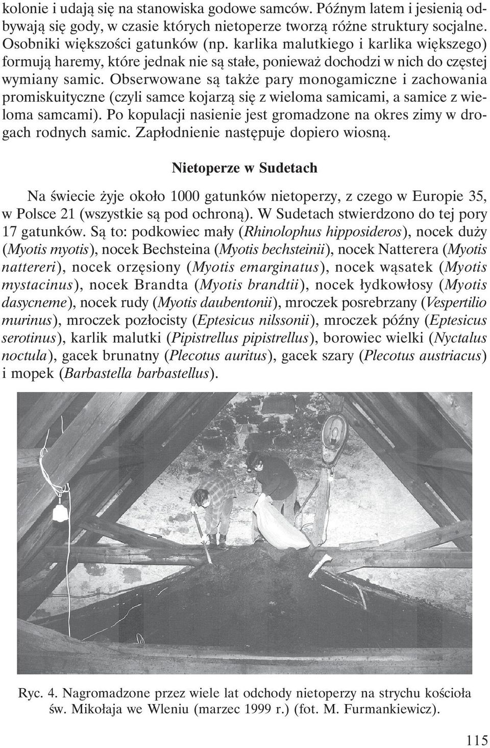 Obserwowane są także pary monogamiczne i zachowania promiskuityczne (czyli samce kojarzą się z wieloma samicami, a samice z wieloma samcami).