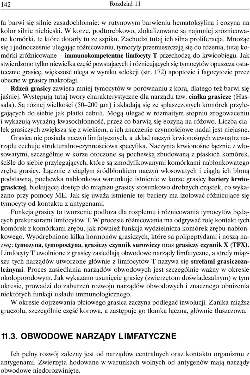 Mnożąc się i jednocześnie ulegając różnicowaniu, tymocyty przemieszczają się do rdzenia, tutaj komórki zróżnicowane immunokompetentne limfocyty T przechodzą do krwioobiegu.