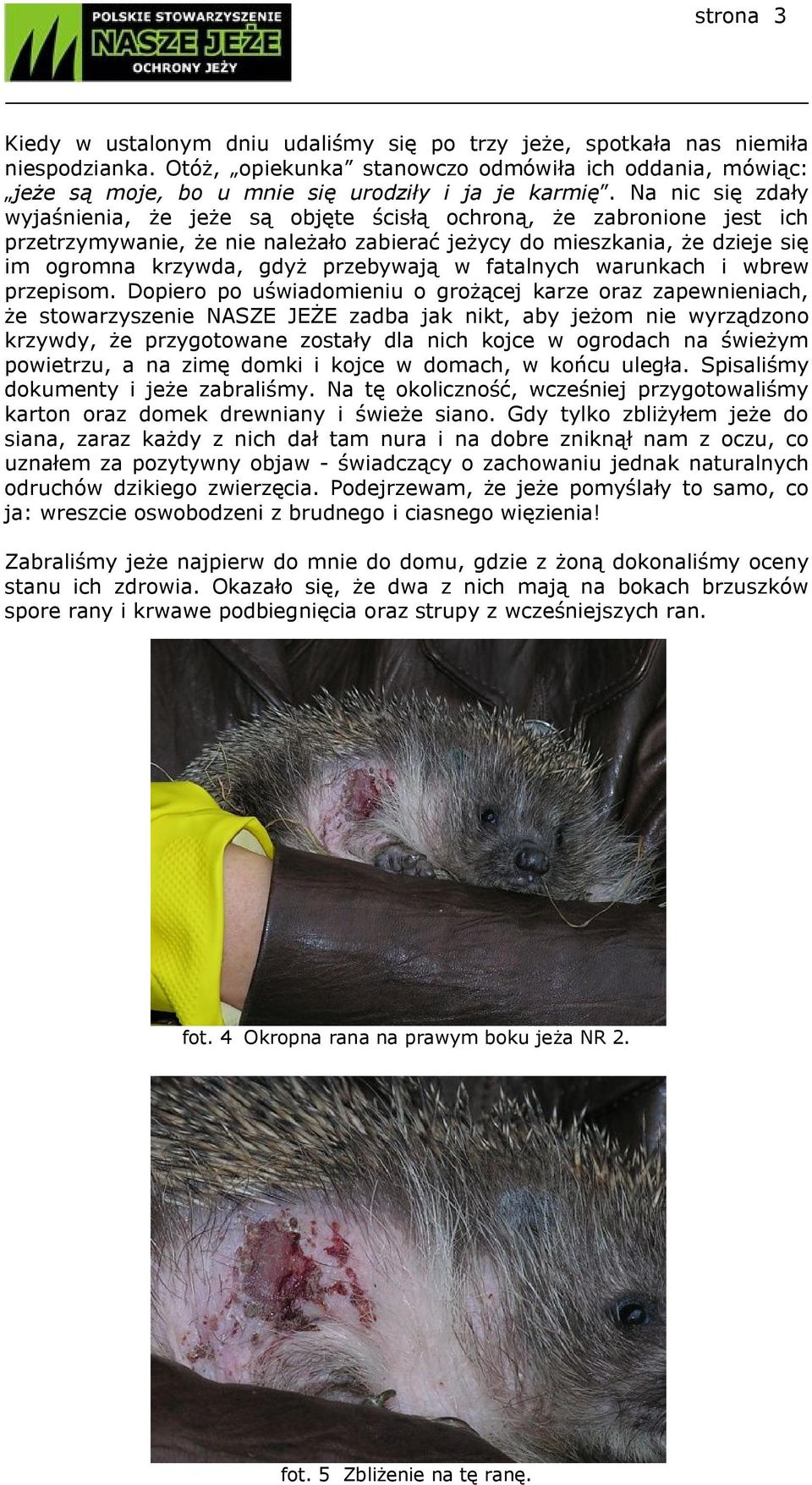 Na nic się zdały wyjaśnienia, że jeże są objęte ścisłą ochroną, że zabronione jest ich przetrzymywanie, że nie należało zabierać jeżycy do mieszkania, że dzieje się im ogromna krzywda, gdyż