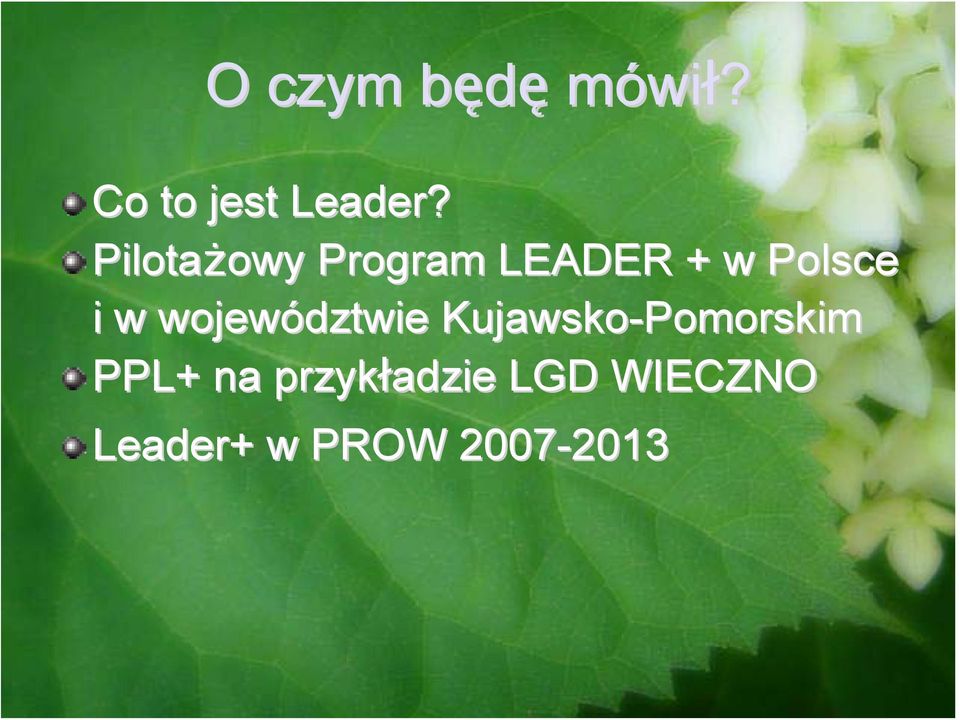 województwie Kujawsko-Pomorskim PPL+ na