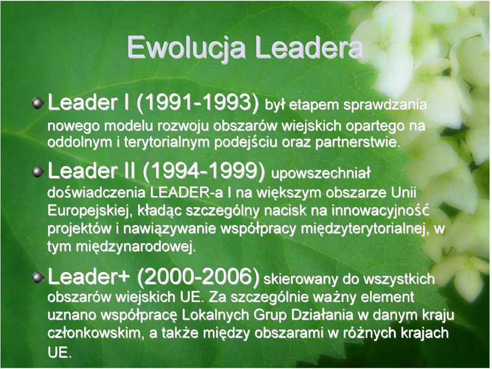 Leader II (1994-1999) 1999) upowszechniał doświadczenia LEADER-a a I na większym obszarze Unii Europejskiej, kładk adąc c szczególny nacisk na innowacyjność