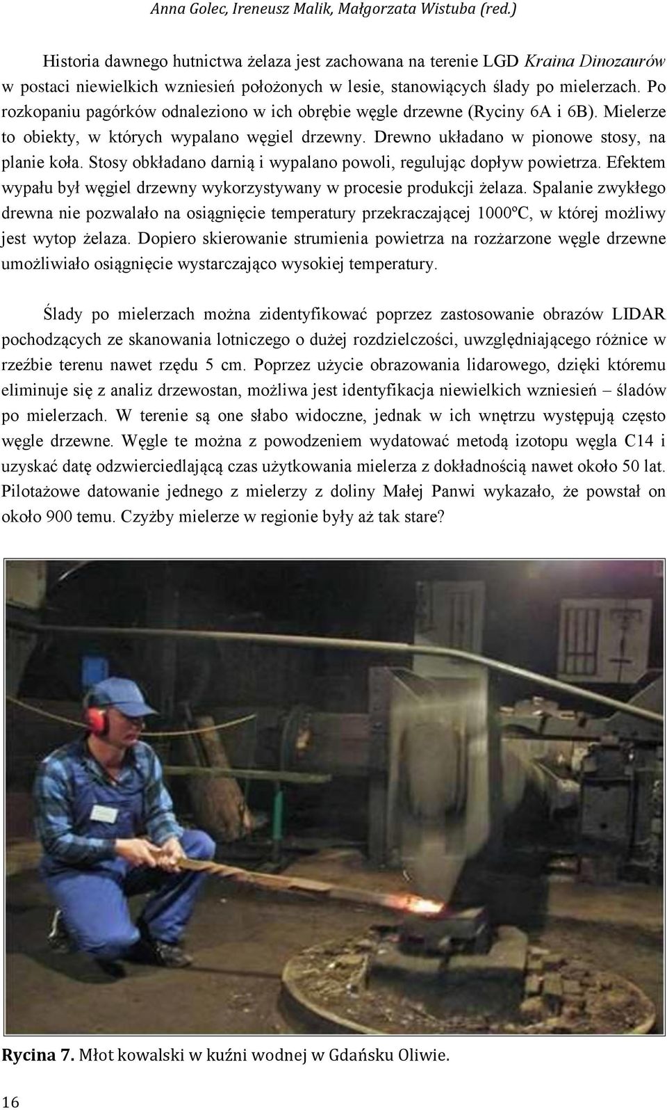 Po rozkopaniu pagórków odnaleziono w ich obrębie węgle drzewne (Ryciny 6A i 6B). Mielerze to obiekty, w których wypalano węgiel drzewny. Drewno układano w pionowe stosy, na planie koła.