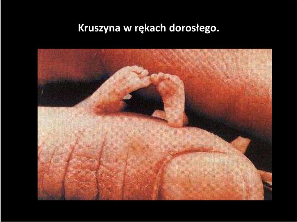dorosłego.