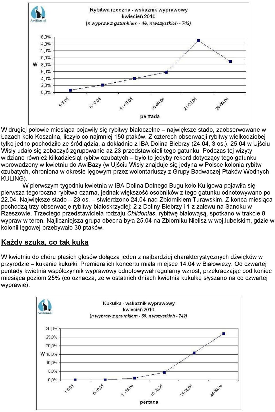 04 w Ujściu Wisły udało się zobaczyć zgrupowanie aż 23 przedstawicieli tego gatunku.