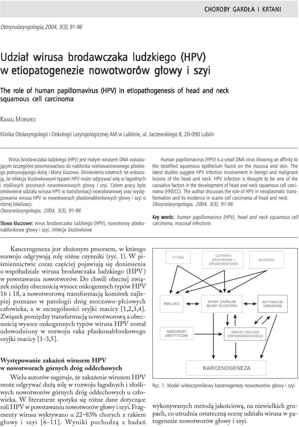 (HPV) w etiopatogenezie nowotworów g³owy i szyi The role of human papillomavirus (HPV) in etiopathogenesis of head and neck squamous cell carcinoma KAMAL MORSHED Klinika Otolaryngologii i Onkologii